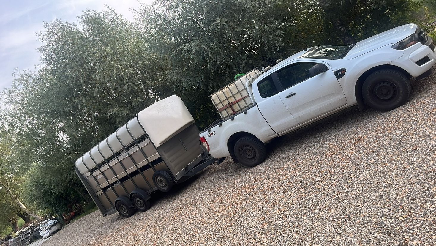 Pick-up met veetrailer, klaar voor vertrek